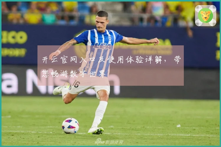 开云官网入口及使用体验详解，带您畅游数字世界