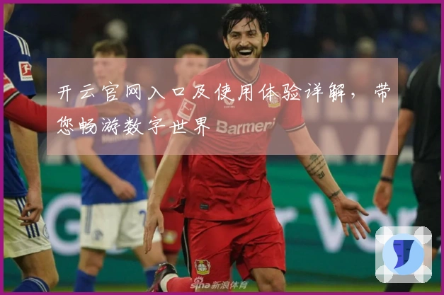 开云官网入口及使用体验详解，带您畅游数字世界